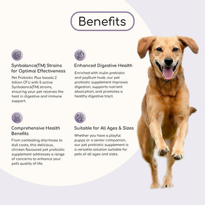 Comprimidos probióticos para perros (60 comprimidos masticables con sabor a pollo) 