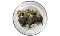 black-maca-root-extract