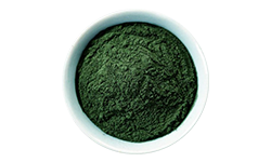 chlorella-powder