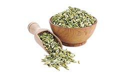 fennel-seed