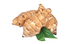 inulin