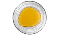 vitamin-b12